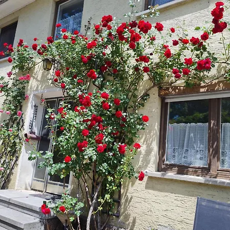 Gaestehaus Mohr *