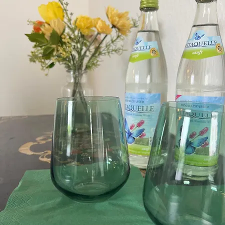 Gaestehaus Mohr 홈스테이