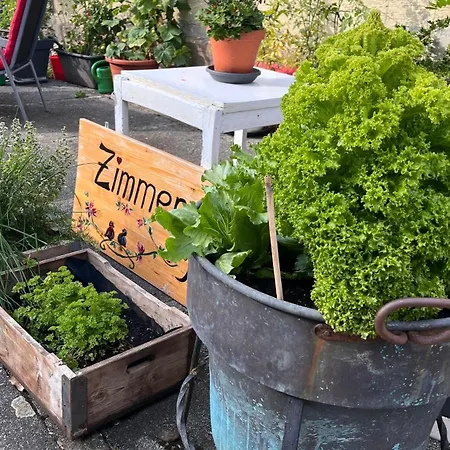 Gaestehaus Mohr 홈스테이