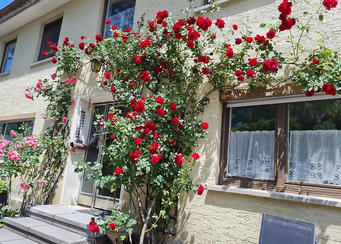 Gaestehaus Mohr *
